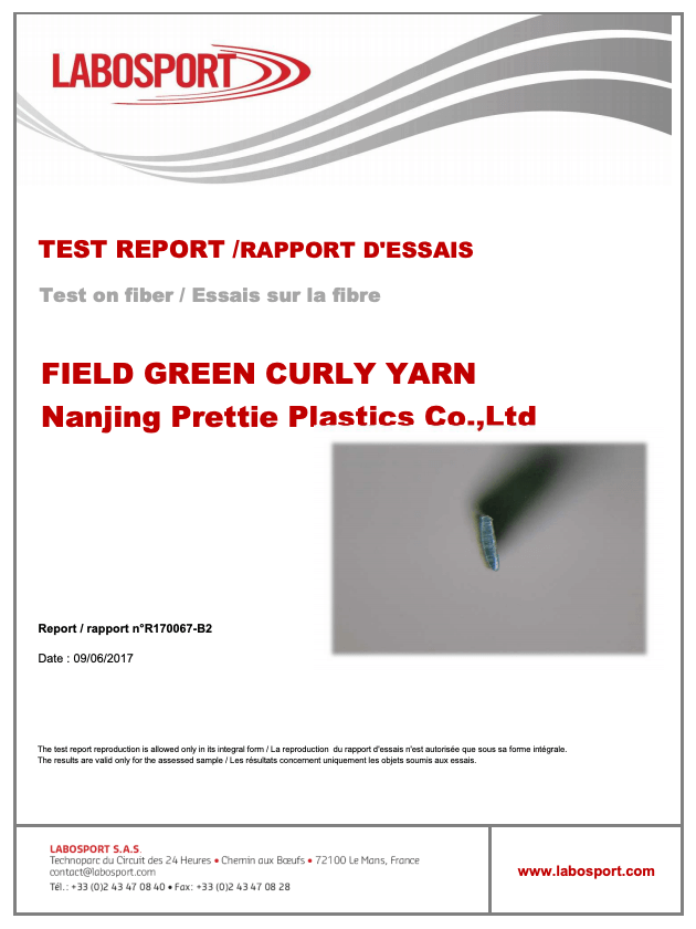 LABISPORTテストに関するPDF資料の表紙