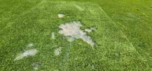 人工芝の上でバーベキューする際に気を付ける点